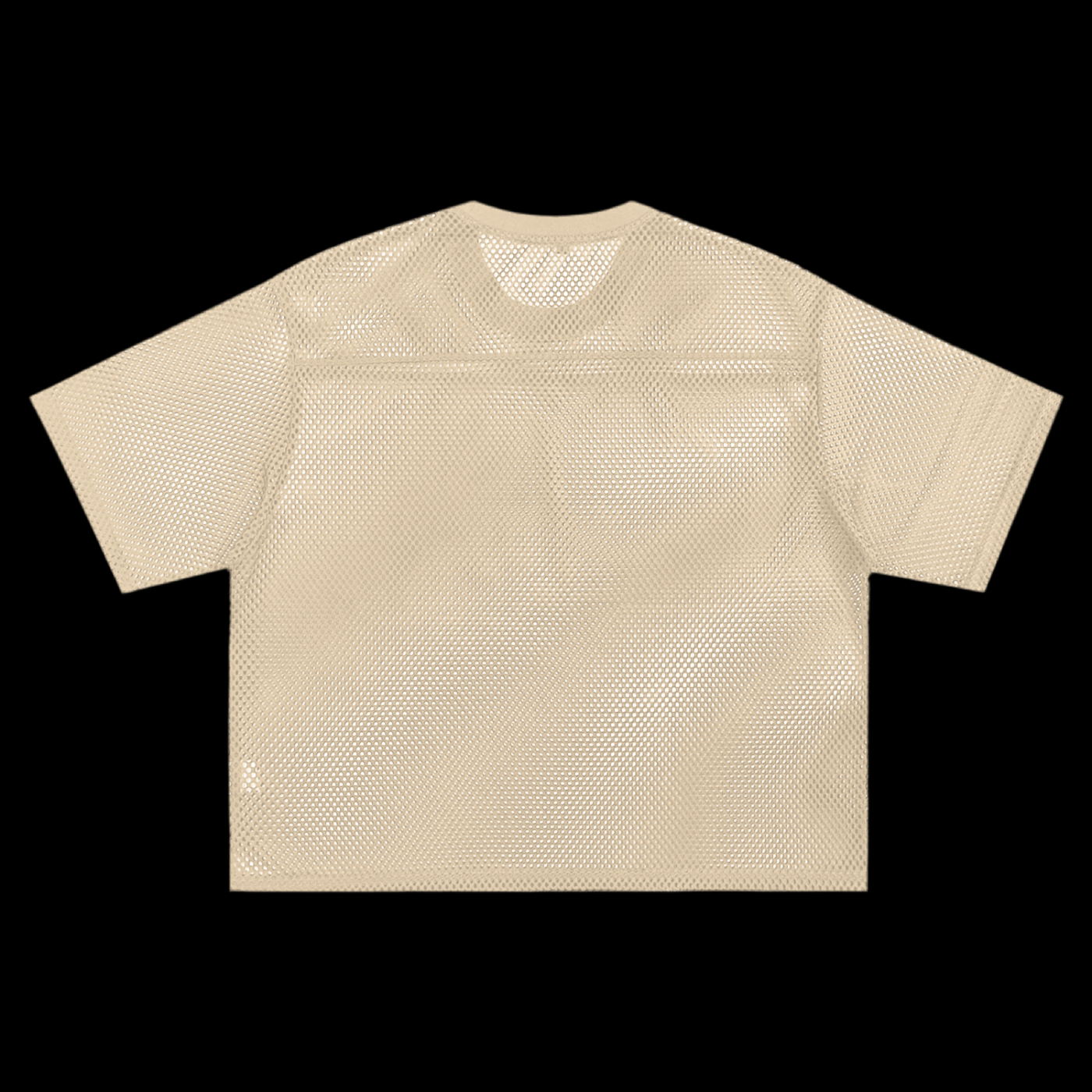 SYSTEM ERROR_Net-shirt