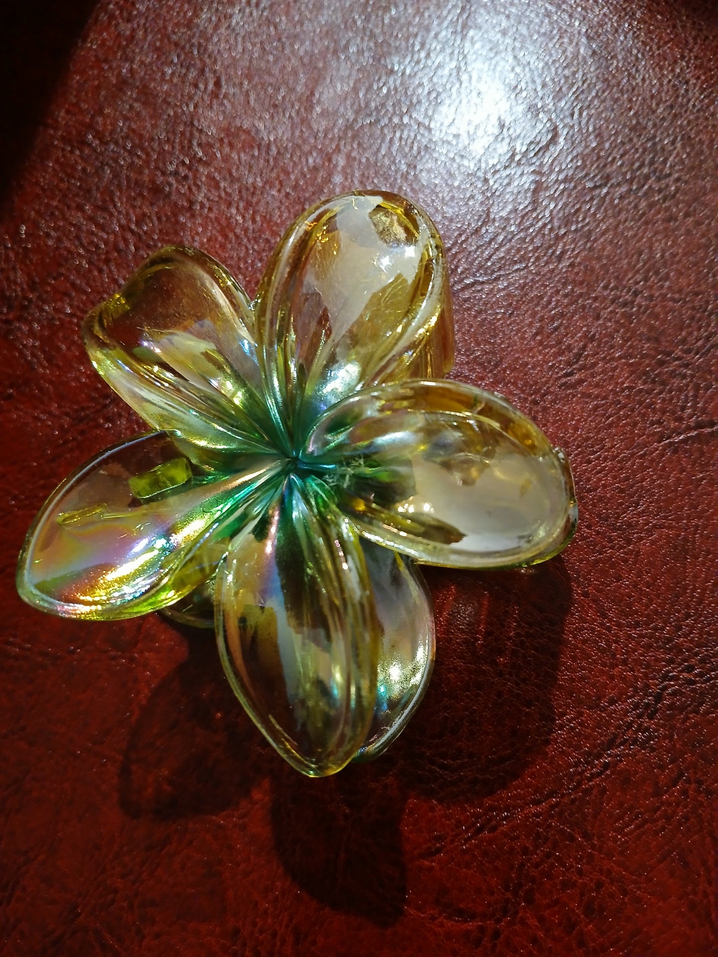Claw Clips
