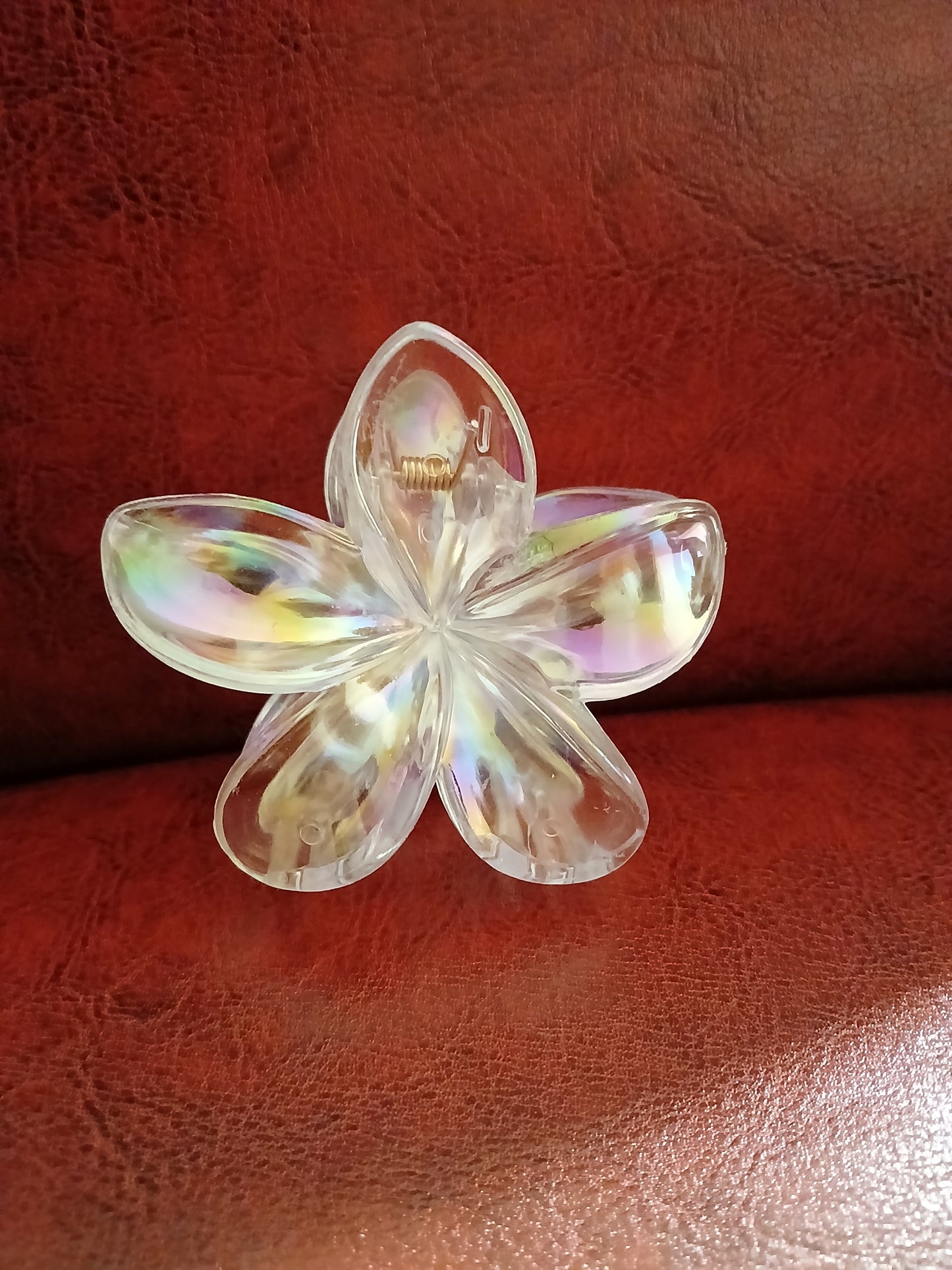 Claw Clips