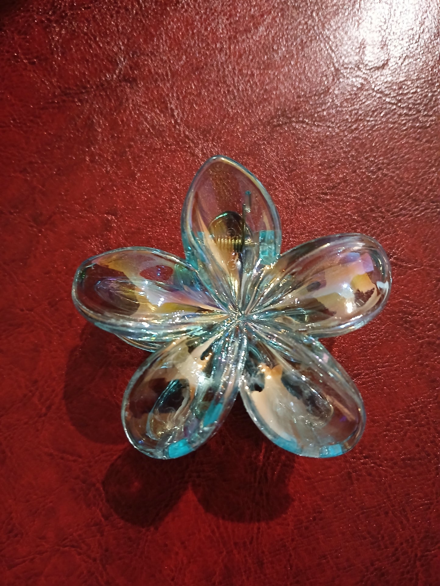 Claw Clips